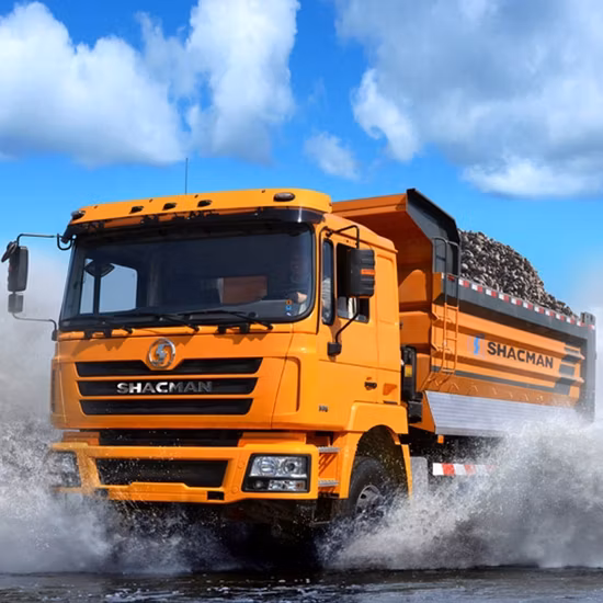 Autocarro con cassone ribaltabile certificato russo Sx3256dr384 Trucks Shacman